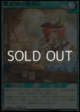 画像: 【ノーマル】纏竜域の戦利品