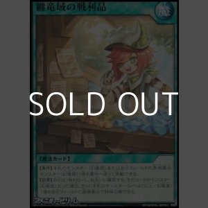 画像: 【ノーマル】纏竜域の戦利品