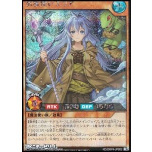 画像: 【シークレットレア】水霊使いエリア