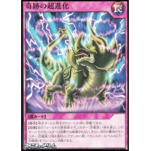 画像: 【ノーマル】奇跡の超進化