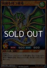 画像: 【ノーマル】凶頭を持つ邪竜