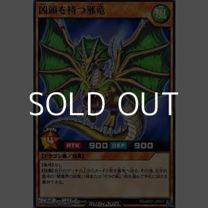画像: 【ノーマル】凶頭を持つ邪竜