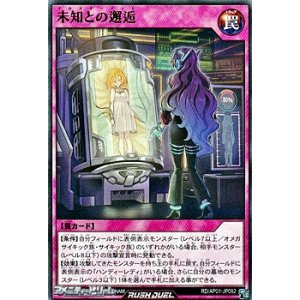 画像: 【ノーマル】未知との邂逅