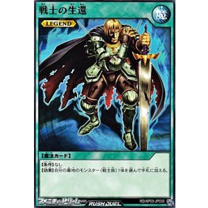 画像: 【ノーマル】戦士の生還