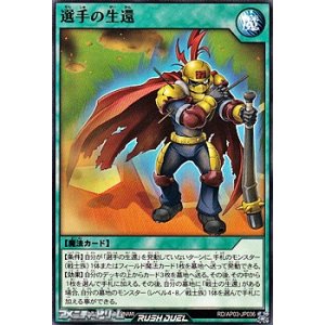 画像: 【ノーマル】選手の生還