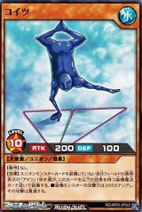画像: 【ノーマル】コイツ