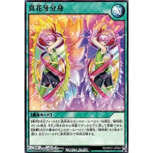 画像: 【ノーマル】真花牙分身