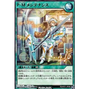画像: 【ノーマル】Ｐ・Ｍ メンテナンス