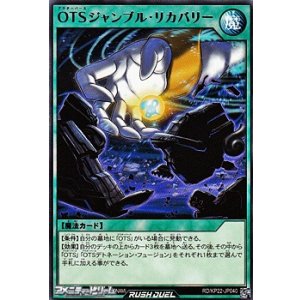 画像: 【レア】OTSジャンブル・リカバリー