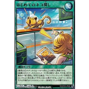 画像: 【レア】はじめてのネコ探し