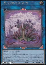 画像: 【シークレットレア】聖天樹の大母神