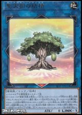 画像: 【レア】聖天樹の幼精