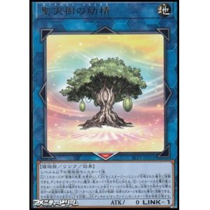 画像: 【レア】聖天樹の幼精