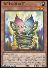 画像: 【ノーマル】聖種の天双芽