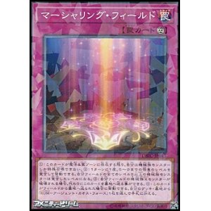 画像: 【パラレル】マーシャリング・フィールド