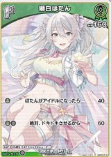 画像: 【C】獅白ぼたん