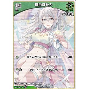 画像: 【C】獅白ぼたん