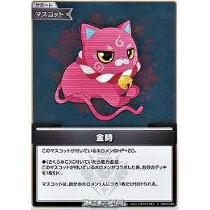 画像: 【S】金時