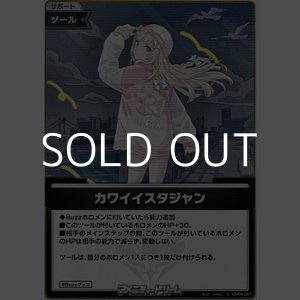 画像: 【S】カワイイスタジャン