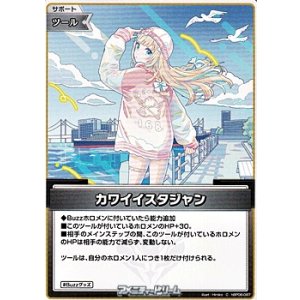 画像: 【C】カワイイスタジャン