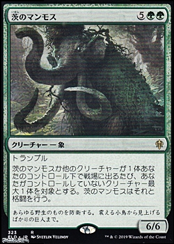 画像1: 【日本語】茨のマンモス/Thorn Mammoth (1)