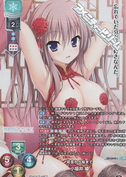 画像1: 【P】初雪から桜まで 小坂井 綾 (1)