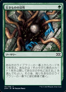 画像1: 【日本語】古きものの活性/Ancient Stirrings (1)
