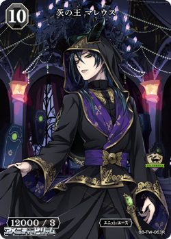 画像1: 【R】茨の王 マレウス (1)