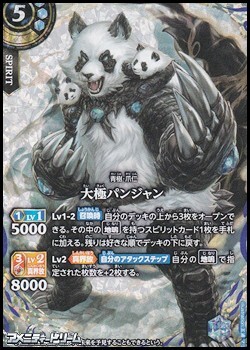 画像1: 【SECRET X】大極パンジャン (1)