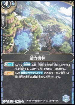 画像1: 【C】活力樹林 (1)