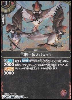 画像1: 【R】三羽一体スパロッツ (1)