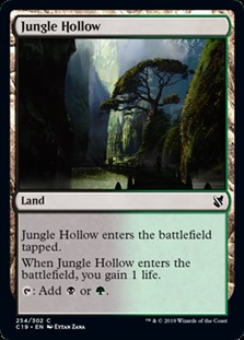 画像1: 【英語】ジャングルのうろ穴/Jungle Hollow (1)