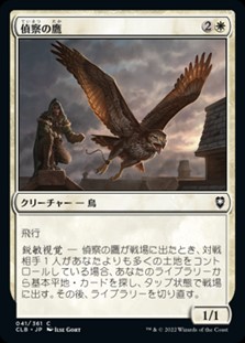 画像1: 【日本語】偵察の鷹/Scouting Hawk (1)