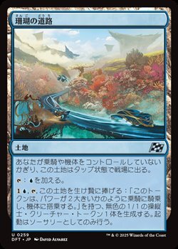 画像1: 【日本語】珊瑚の道路/Reef Roads (1)