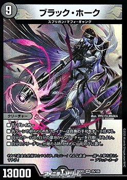 画像1: 【VR】ブラック・ホーク (1)