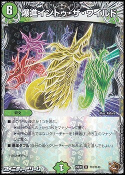 画像1: 【黒トレジャーR】爆進イントゥ・ザ・ワイルド (1)