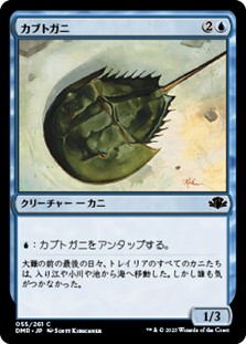 画像1: 【日本語】カブトガニ/Horseshoe Crab (1)