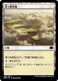 画像1: 【日本語】漂う牧草地/Drifting Meadow (1)