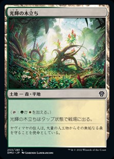 画像1: 【日本語】光輝の木立ち/Radiant Grove (1)