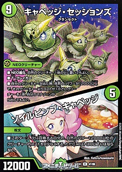 画像1: 【R】キャベッジ・セッションズ／ソイルピンプ・キャベッジ (1)