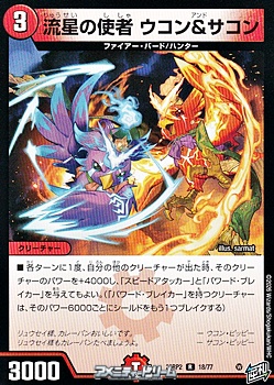 画像1: 【R】流星の使者 ウコン＆サコン (1)