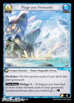 画像1: 【EN】Plage aux Homards (1)