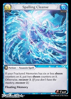 画像1: 【EN】Spalling Cleanse (1)