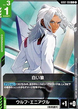 画像1: 【C】白い狼 (1)