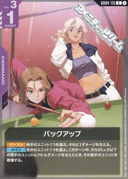 画像1: 【C】バックアップ (1)