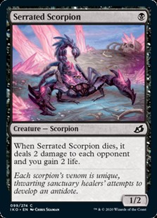 英語 鋸刃蠍 Serrated Scorpion アメニティードリーム通販部