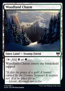 画像1: 【英語Foil】森林の地割れ/Woodland Chasm (1)