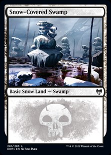 画像1: 【英語Foil】冠雪の沼/Snow-Covered Swamp(No.281) (1)