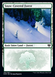 画像1: 【英語】冠雪の森/Snow-Covered Forest(No.284) (1)