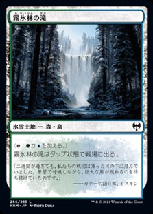 画像1: 【日本語】霧氷林の滝/Rimewood Falls (1)